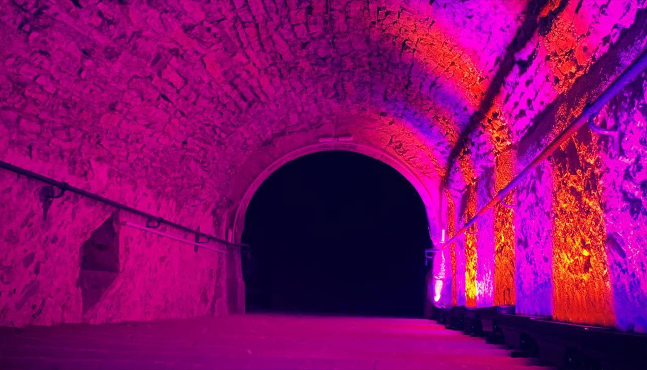 النور النور